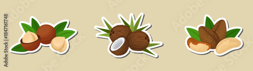 Assorted nuts. Stickers in flat vector illustration style