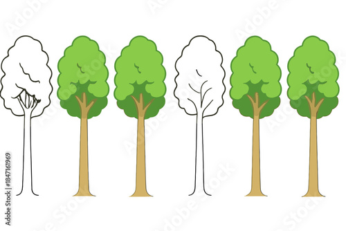 Minimalist Beech Trees. Row of tall beech masts with dense leafy canopy, simple minimalist vector illustration, first in line