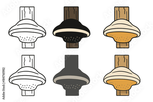 Birch Polypore Cross-Section. Cross-section of birch polypore attached to bark, showing internal layers and spore surface, minimal
