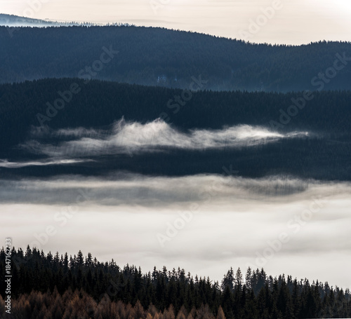 Layers of Fog over Mountain Forest. Layered mountain forest covered in drifting fog and soft light, creating a calm, atmospheric landscape ideal for nature, environment and background concepts.