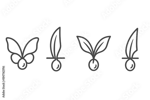 Wingblade Sprout Vector. Line style vector icons of wingblade sprout kernel: soft butterfly form, wing sweep curve, sharp blade