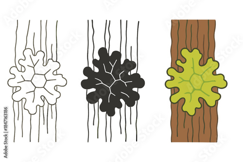 Diverse Lichen Patterns. Lichen spreading across bark with faint symbolic contract lines between species, first in line style with