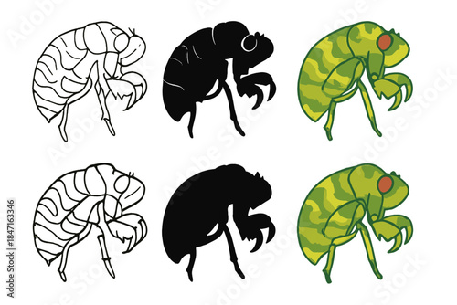 Abstract Exoskeleton Layers. Close-up of shed exoskeleton with subtle camouflage markings, abstract minimal vector design, first