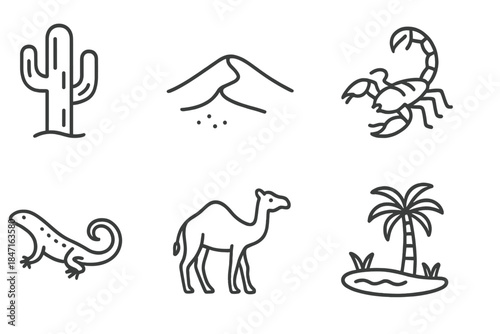 Desert Life Icons. Line style icons of Desert Life: cactus, sand dune, scorpion, lizard, camel, oasis palm. No text, No labels,