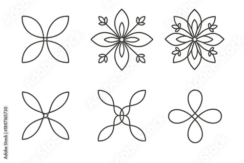 Floral Vector Symphony. Line vector icons of a floral junction with fine distinctions: petal-shaped nodes, radiant blossom