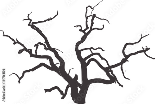 Bare twisted tree branches black and white silhouette
