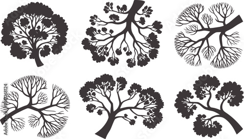 Black and gray tree silhouette collection with varied branch structures