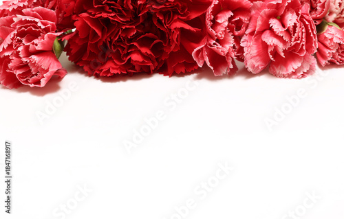 白背景のカーネーションの花束