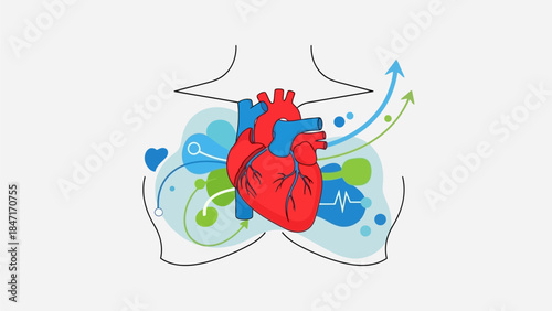 Corporate Medical Illustration Representing Heart Health
