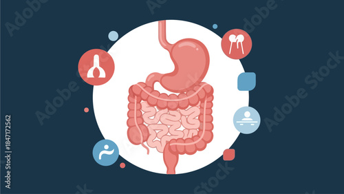 Corporate Healthcare Illustration of Digestive Health
