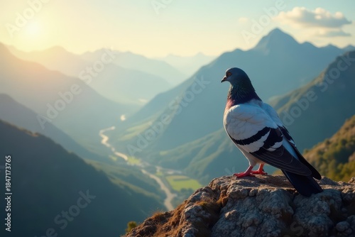 Pigeon surveying expansive vista from mountaintop, sunlit feathers , vista, panoramic, peace