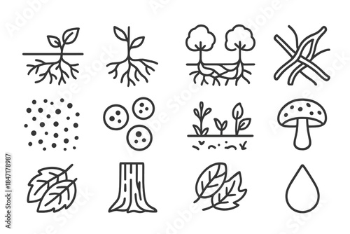 Fungal Network Icons. Line style icons of Fungal Networks: Mycorrhizal Association, Plant Root, Nutrient Exchange, Wood Wide Web;