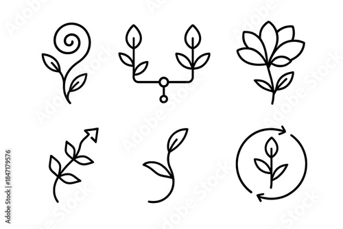 Evolutionary Flora Fusion. Line style icons of evolutionary flora fusionists: spiral-shaped growth form, species connection lines,