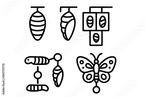 Chrysalis Transformation Diagram. Line style icons of chrysalis stages as progress steps: sequential cocoon icons, layered