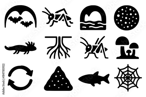 Subterranean Ecosystem Icons. Solid style icons of subterranean ecosystems: bat colony, troglobite insect, underground stream,