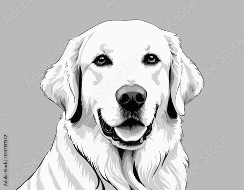 golden Retriever in black and white animal illustration