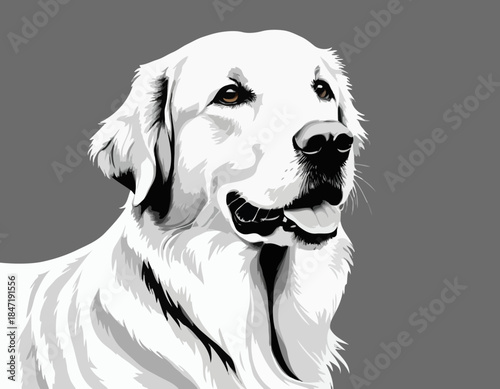 golden Retriever in black and white animal illustration