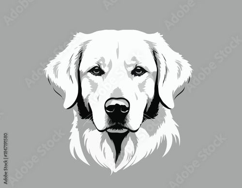 golden Retriever in black and white animal illustration