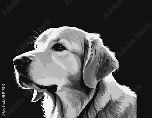 golden Retriever in black and white animal illustration