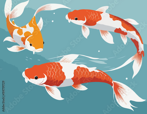 koi in illustration in brush stroke painting