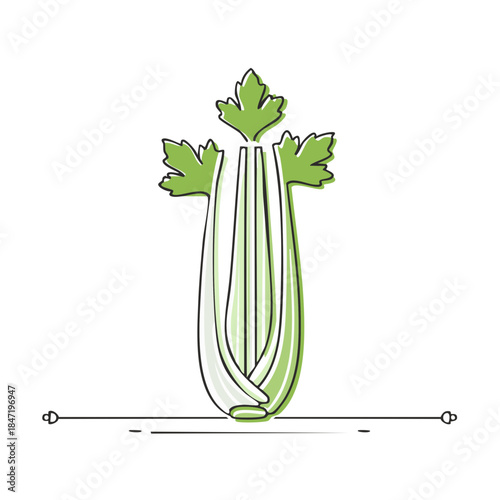 Celery stalk simple illustration food ingredient plant based nutrition