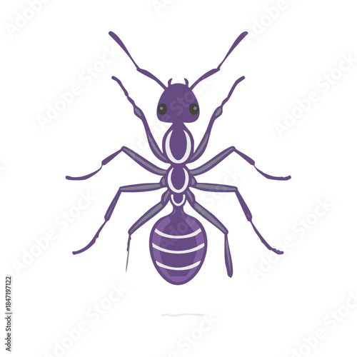 Detailed Purple Ant Insect Illustration with Segmented Body and Antennae on White Backdrop