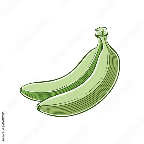 Hand-Drawn Vector Illustration of Two Green Bananas in a Fresh Arrangement