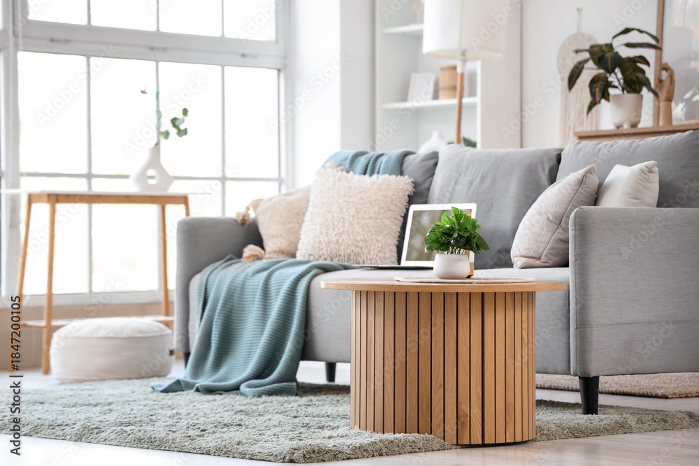 Fototapeta premium Plant on table near sofa in living room interior