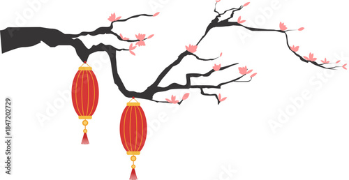 Chinese lantern hang on cherry blossom tree