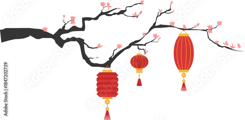 Chinese lantern hang on cherry blossom tree