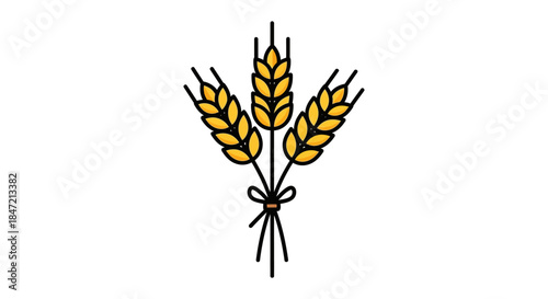 wheat ears bundle line art illustration of golden grain stalks tied with ribbon on white background for agriculture and bakery design