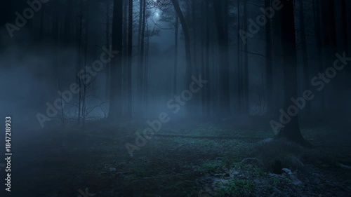 Eerie dark forest at night with dense fog swirling through ancient trees, creating a mysterious and atmospheric woodland scene perfect for horror and fantasy projects