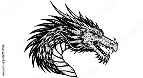 A fierce dragon head, rendered in detailed black and white vector art, showcases intricate scales and a menacing expression against a clean background.