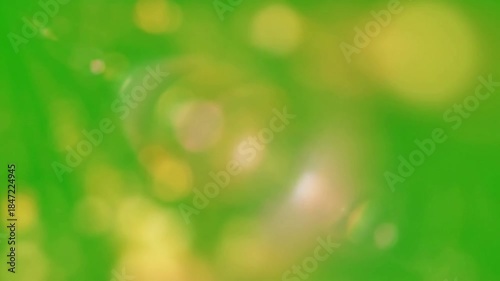 Misty forest floor glow of breaking dawn with radial light leaks expanding outwards effect green screen light leaks style featuring