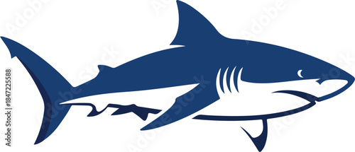 Striking Blue Shark Illustration on White Background.