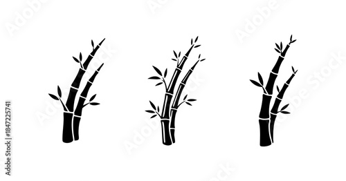 Black and White Bamboo Shoot Asian Plant Graphic