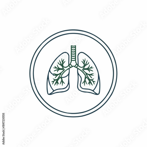 Lungs and trachea in a circular frame for health concepts