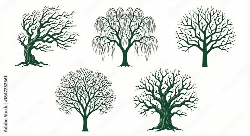 Fototapeta premium Bare Branches: Minimalist Tree Graphics for Design Projects