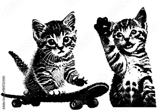 Vintage Kitten Skateboard Engraving, Inverted Black White Xerography Vector on Transparent Background