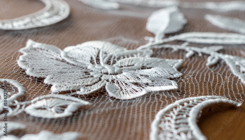 Obraz premium White Floral Lace Embroidery Texture on Sheer Fabric