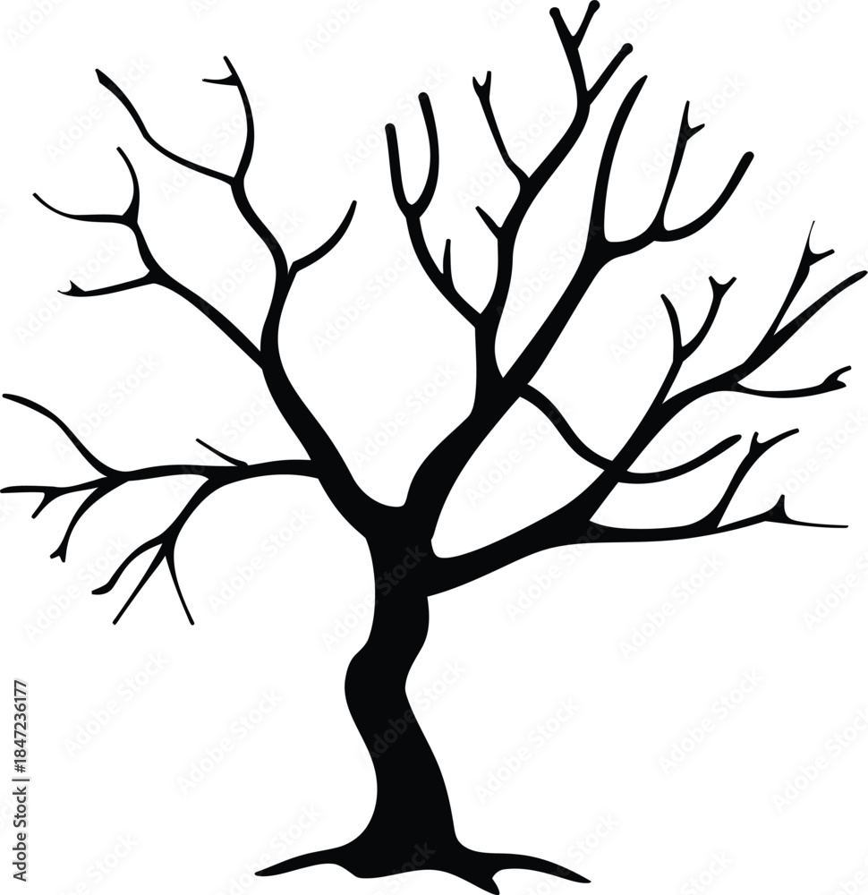 Fototapeta premium Silhouette of Bare Tree with Branches on White Background, Autumn Season