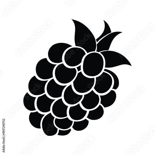 Black silhouette reveals a textured blackberry with leaves, showcasing its natural form on white background