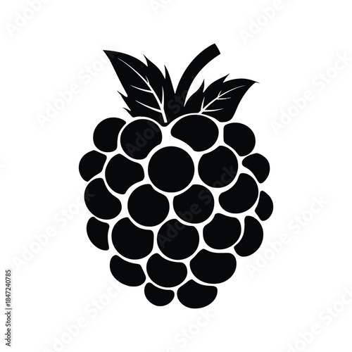 Black silhouette shows a raspberry with leaves isolated on a white background