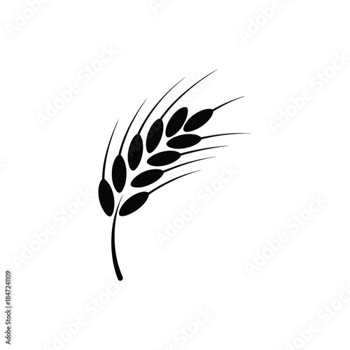 A single black wheat stalk is featured on a clean white background