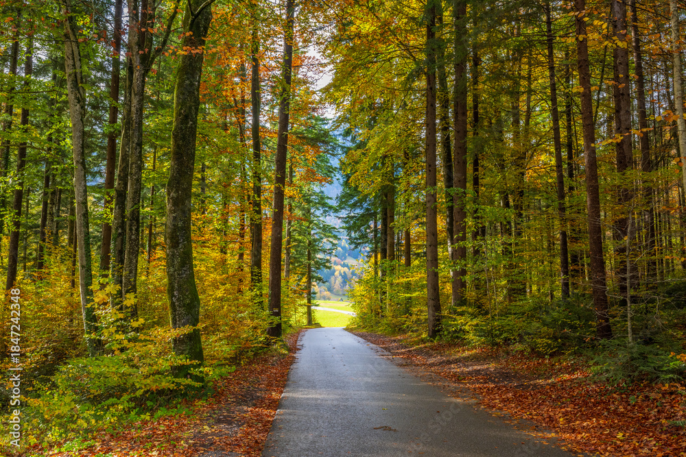 Obraz premium Autumn in the Austrian Alps, Vorarlberg