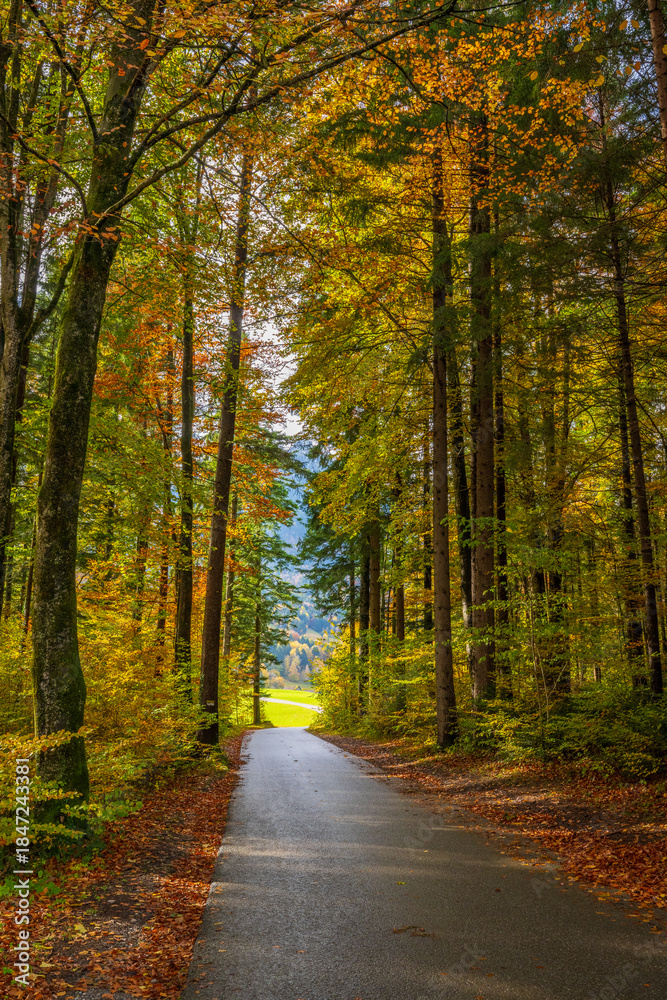 Obraz premium Autumn in the Austrian Alps, Vorarlberg