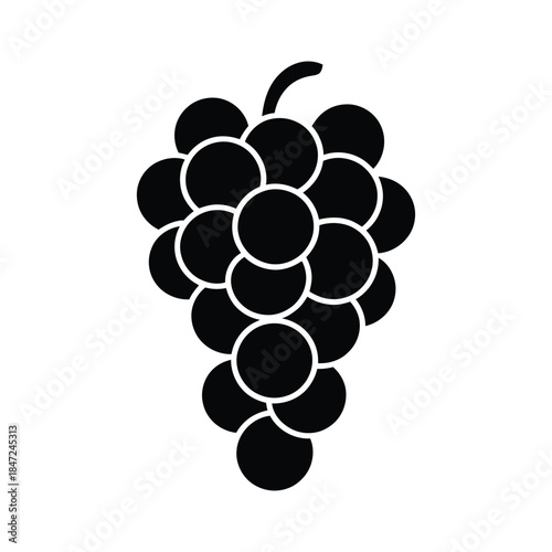 A bold black grapes grows attractively on the vine against a white background