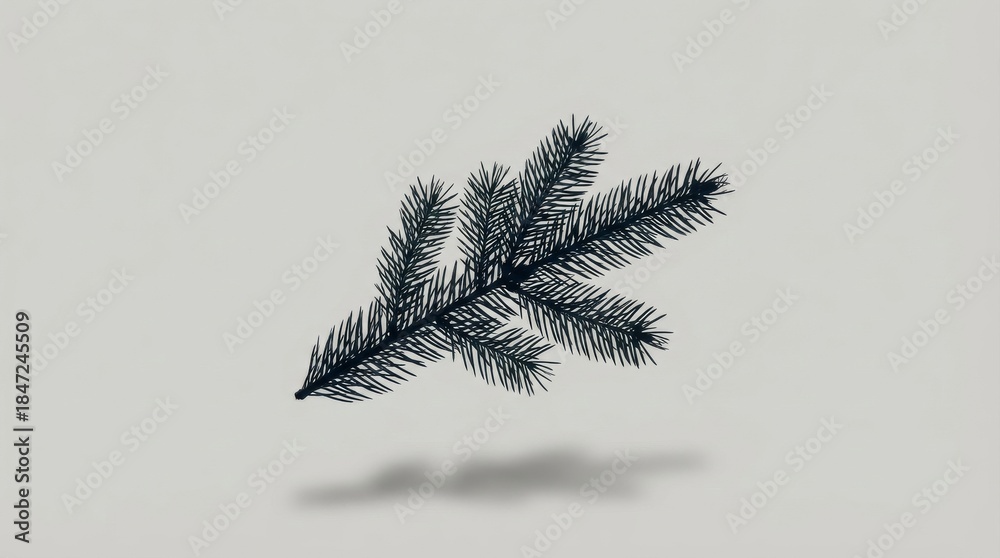 Obraz premium Fir Branch on Grey Background