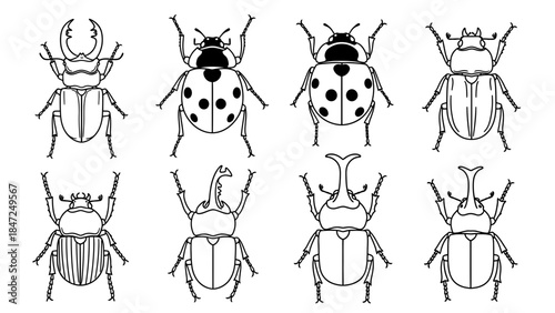 Insect beetle outline icon set black and white line art collection of various bug species vector illustration design