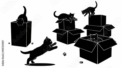 Five Black Kittens Play Inside and Around Cardboard Boxes.